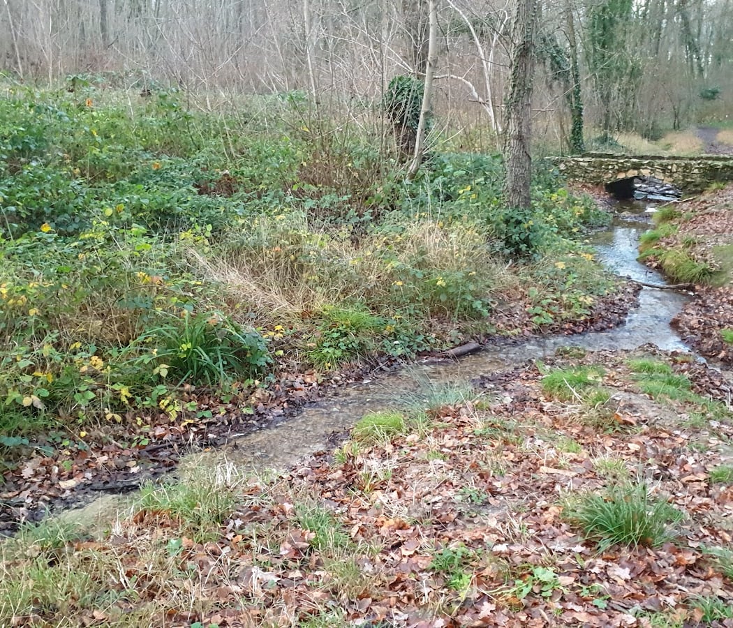 Étang de Saint-Cucufa 3